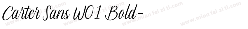 Carter Sans W01 Bold字体转换
